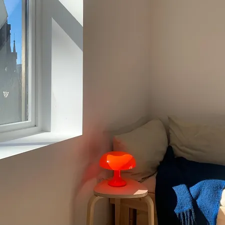 Cozy Scandinavian Design 公寓 *